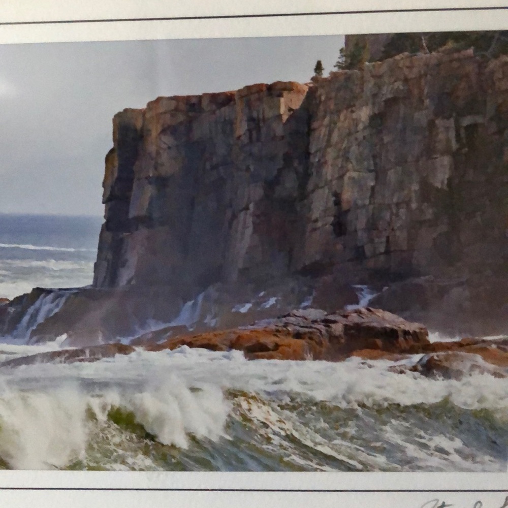 Meet your Posher, Eva